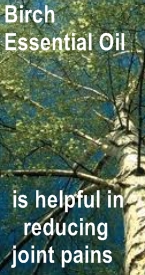 Ormus Minerals Birch Anointing Oil is helpful in reducing joint pain Ormus Minerals Birch Anointing Oil is helpful in reducing joint pain