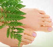 Ormus Rich Aloe Vera Foot Cream with Organic Peppermint Ormus Rich Aloe Vera Foot Cream with Organic Peppermint