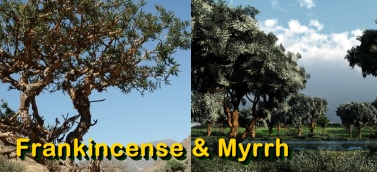 Ormus Minerals Frankincense & Myrrh Products Ormus Minerals Frankincense & Myrrh Products