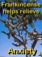 Ormus Rich MSM Skin Cream with Frankincense Ormus Rich MSM Skin Cream with Frankincense