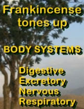 Ormus Minerals Frankincense Anointing Oil tones body systems Ormus Minerals Frankincense Anointing Oil tones body systems