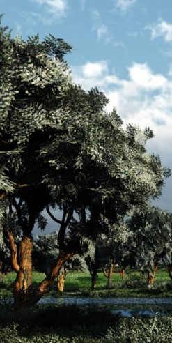 Ormus Rich Aloe Vera Skin Cream with Myrrh Ormus Rich Aloe Vera Skin Cream with Myrrh