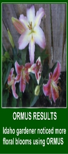 Ormus Minerals --Ormus Earth Milk for Plants(concentrate) Ormus Minerals --Ormus Earth Milk for Plants(concentrate)