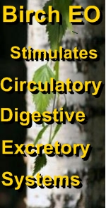 Ormus Minerals Pure Magnesium Oil with BIRCH Essential Oil bnr Ormus Minerals Pure Magnesium Oil with BIRCH Essential Oil bnr