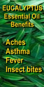 Ormus Minerals - Pure Magnesium Oil with EUCALYPTUS EO bnr Ormus Minerals - Pure Magnesium Oil with EUCALYPTUS EO bnr