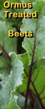 Ormus Minerals Ormus treated beets Ormus Minerals Ormus treated beets