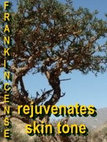 Ormus Minerals Pure Frankincense Essential Oil Ormus Minerals Pure Frankincense Essential Oil