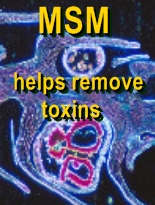 Ormus Rich MSM Foot Cream with Organic Peppermint Ormus Rich MSM Foot Cream with Organic Peppermint