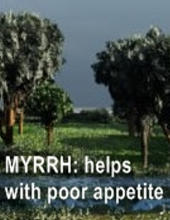 Ormus Minerals Frankincense & Myrrh Anointing Oil helps with poor appetite Ormus Minerals Frankincense & Myrrh Anointing Oil helps with poor appetite