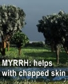 Ormus Rich Mineral Skin Cream with Myrrh Ormus Rich Mineral Skin Cream with Myrrh